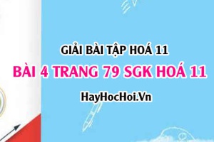 Giải bài 4 trang 79 SGK Hoá 11: Tính chất hoá học của Silic hợp chất của Silic SiO2 H2SiO3 và Muối Silicat